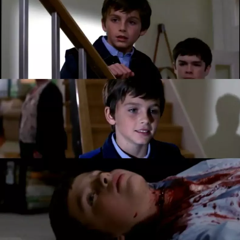 chalamet law and order-2