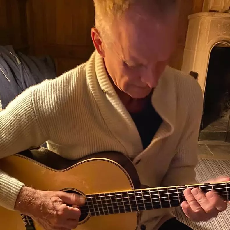 sting-3