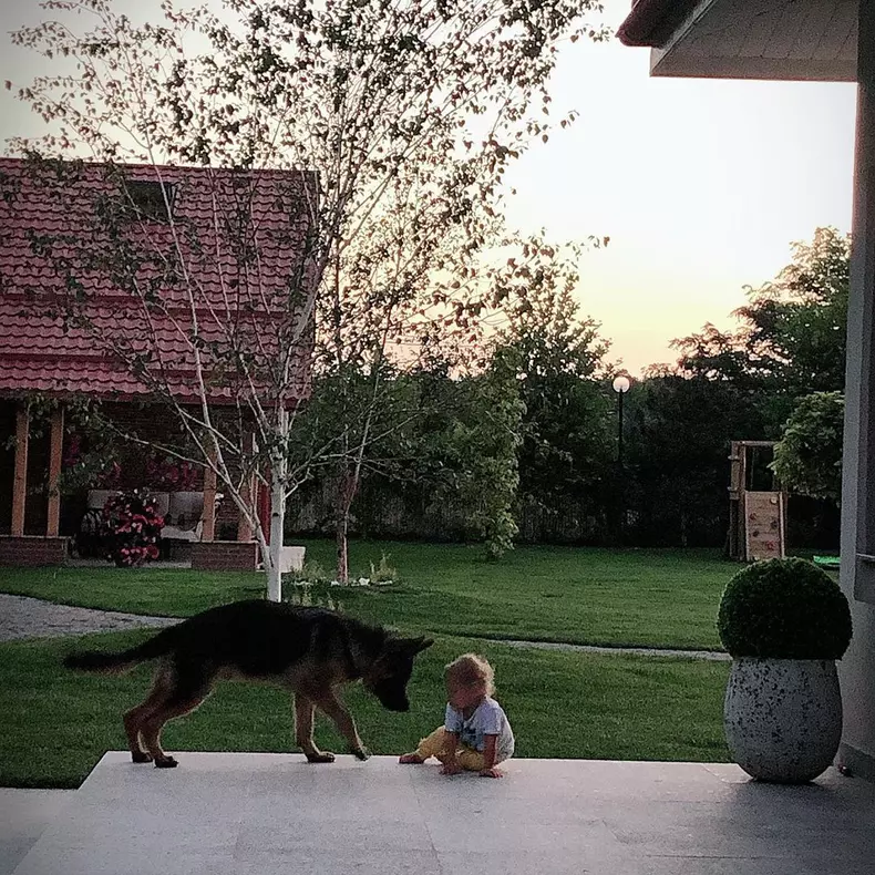 Imagini din locuința Mirelei Vaida