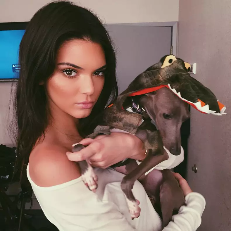 Cele mai amuzante costume de Halloween pentru animale