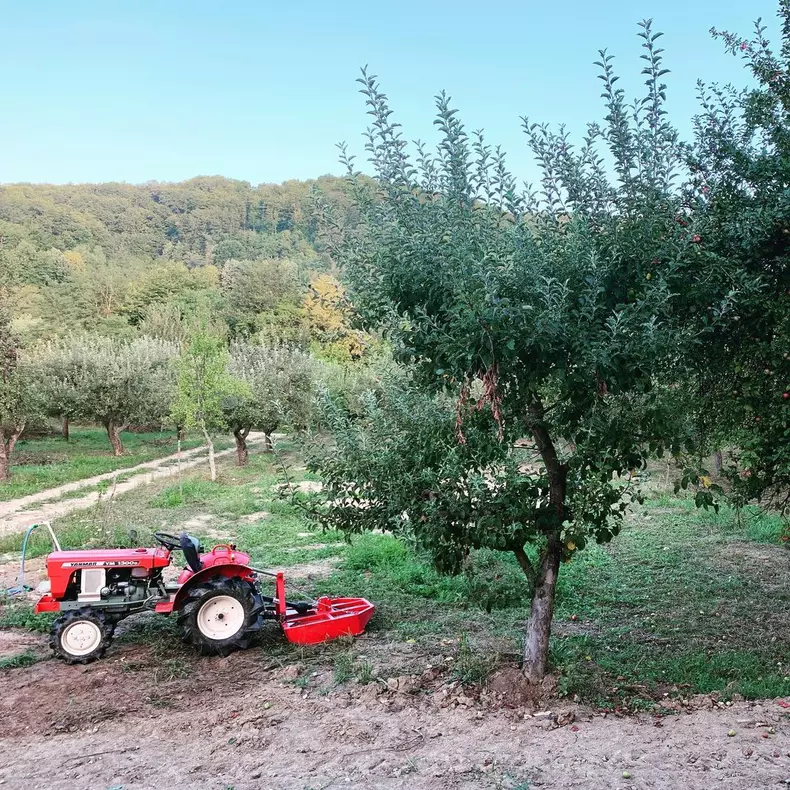 dragos-bucur-viata-la-tara-2