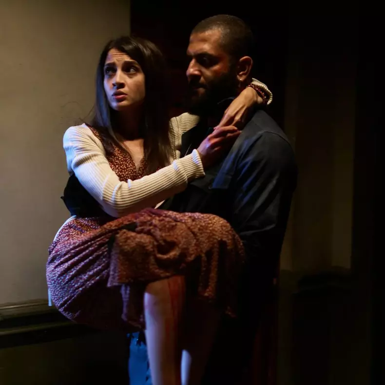 Cine este Diana Dănilă, actrița din „Clanul”  (2)