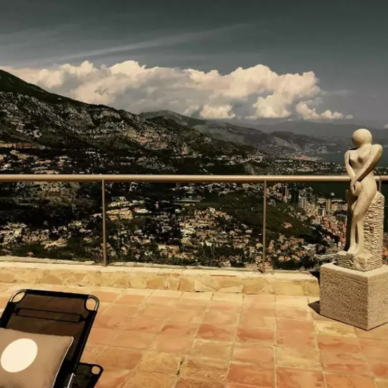 mihaela-radulescu-4-copy