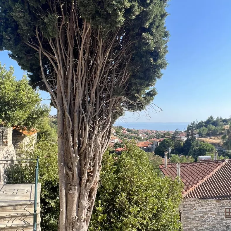 anca-lungu-nunta-grecia-10