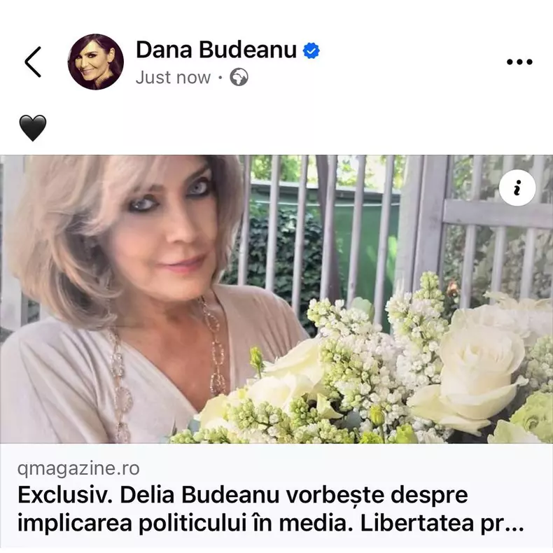 Dana Budeanu și Cristina Săvulescu, după moartea Deliei Budeanu  (10)
