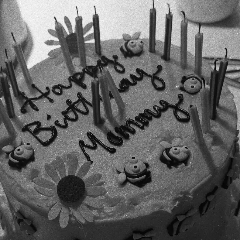 gigi-hadid-imagini-de-la-ziua-de-nastere (1)