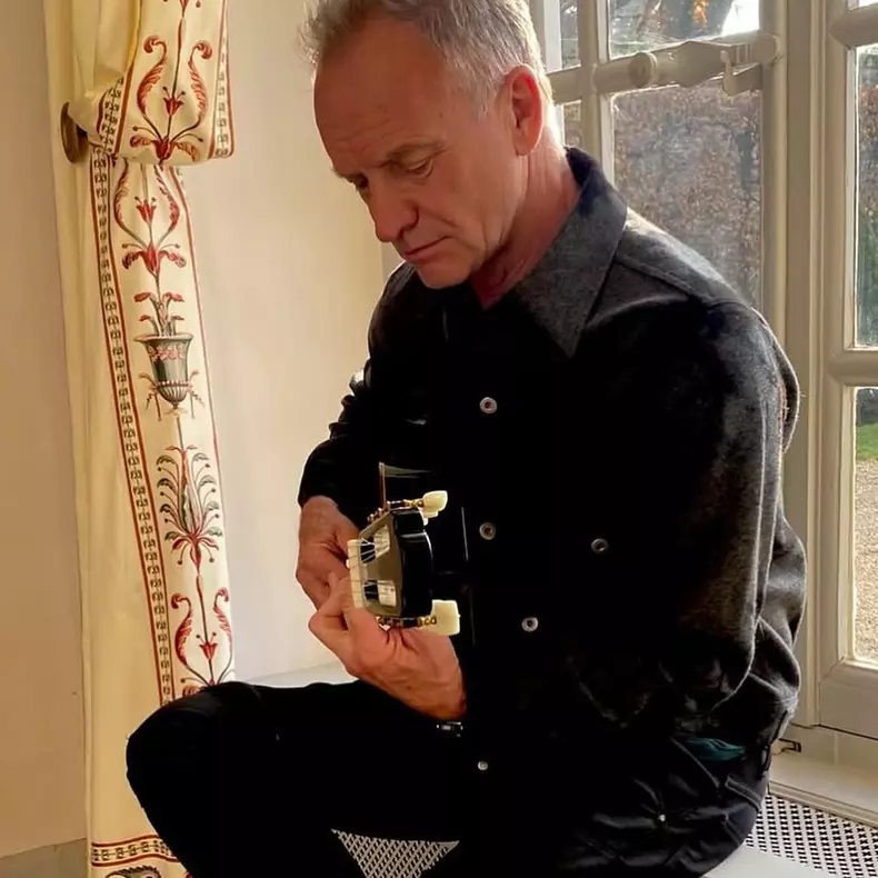 sting-6