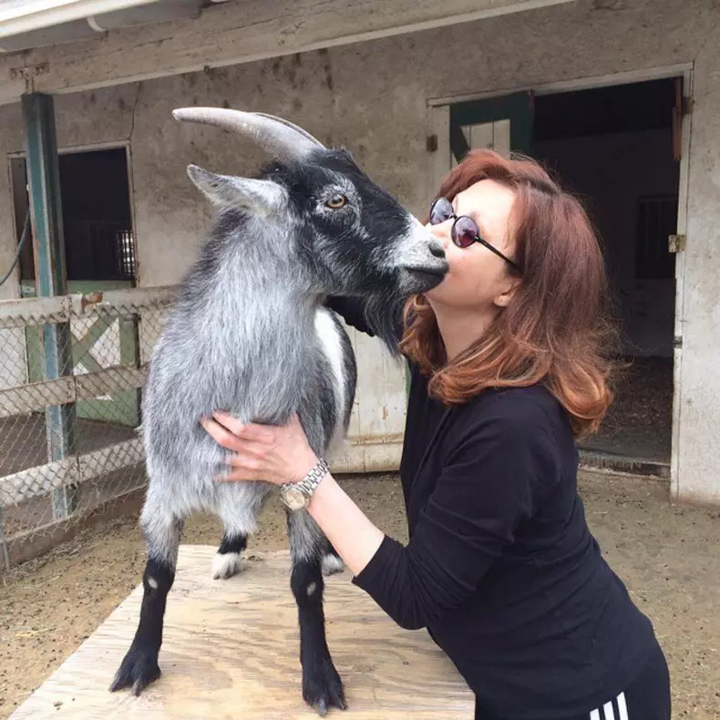 Victoria Principal şi-a deschis o fermă unde sunt salvate şi îngrijite animale