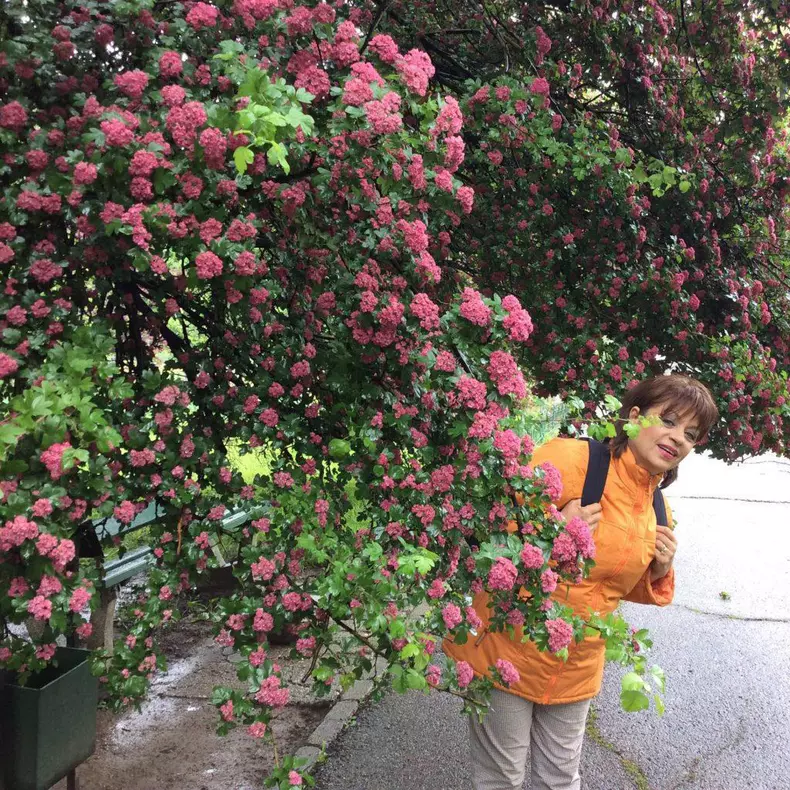 Adriana-Trandafir-4-1024x1024