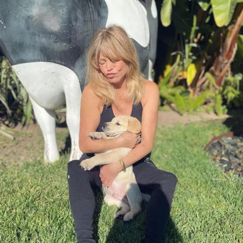 Daily Instagram Posts