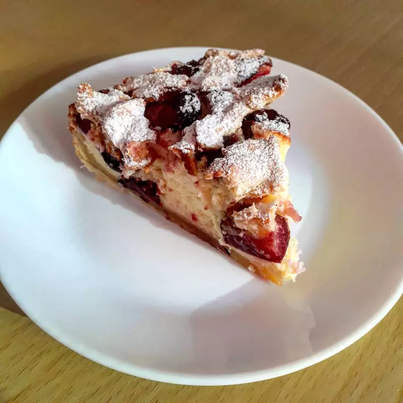 201808819_344387987032647_4484562759713214809_n