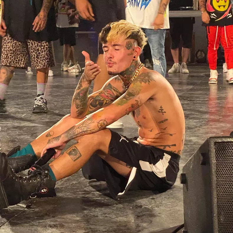 zanni-despre-ana-porgras-1-1