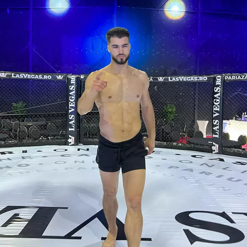 iancu sterp dosar penal