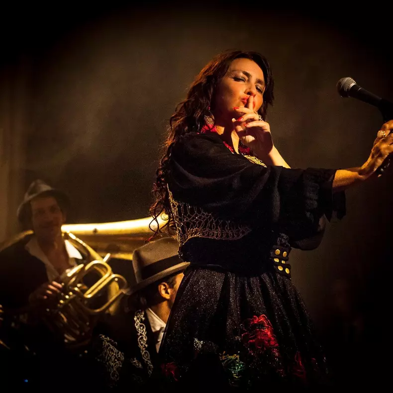 rona hartner in franta artista