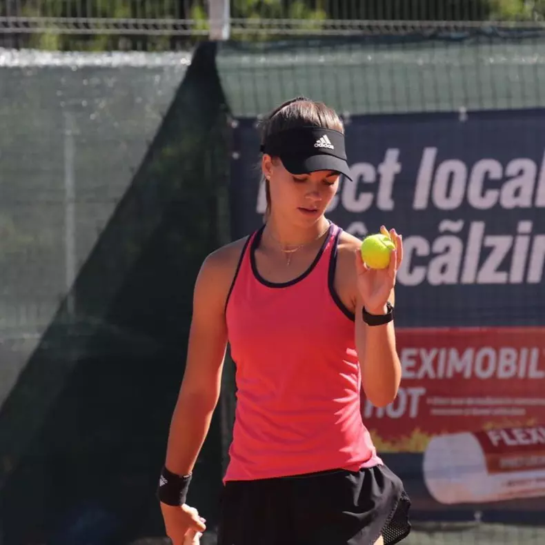 ilinca amariei