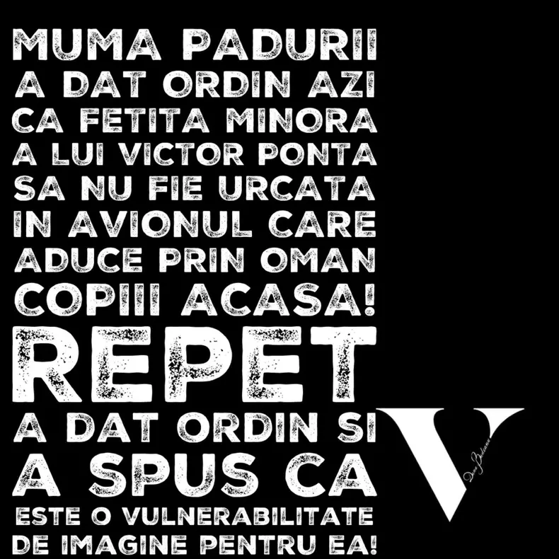 postare-dana-budeanu