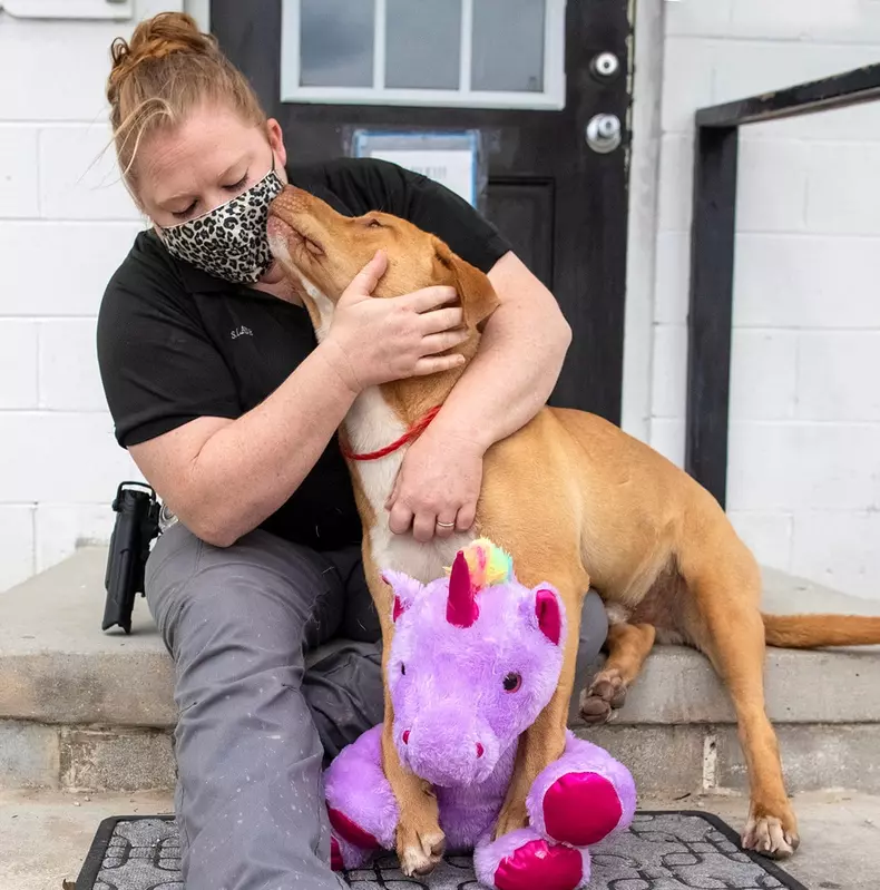 caine sisu jucarie unicorn agenta controlul animalelor