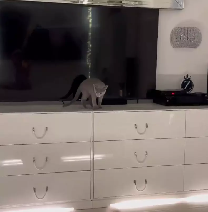 whatsapp-image-2023-08-24-at-16.42.05-1