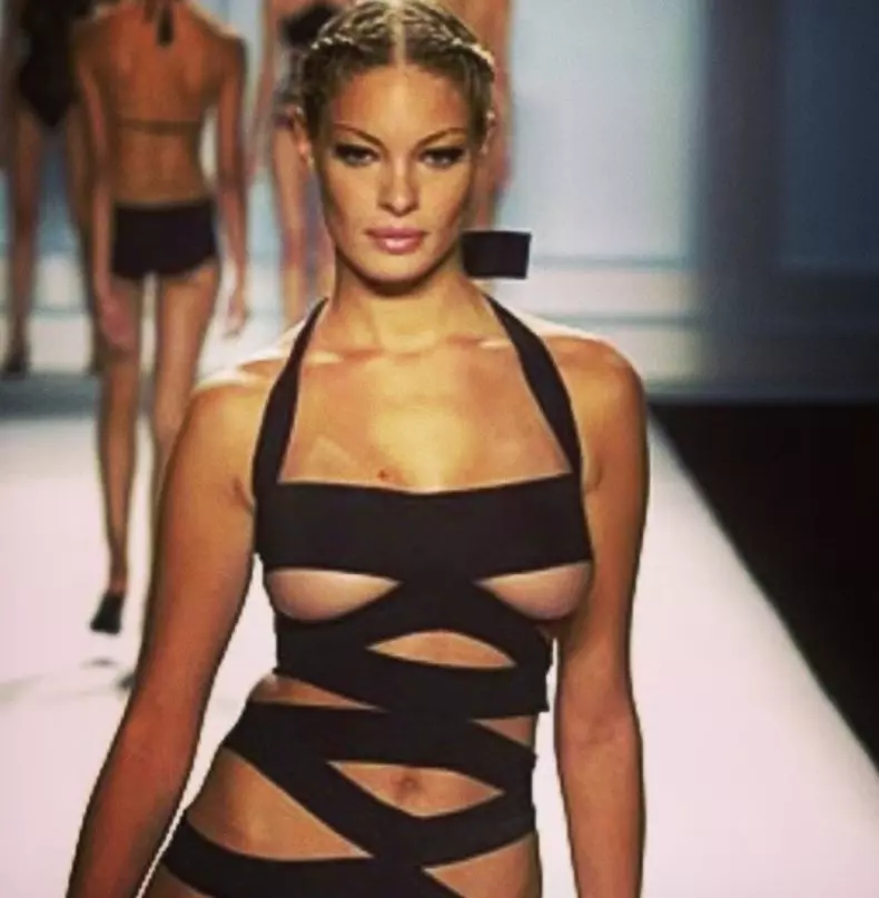 model_pelinel