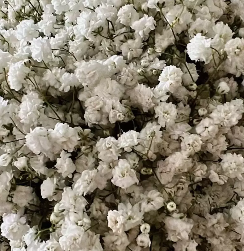 whatsapp-image-2023-05-30-at-07.22.43-1170x1200-1