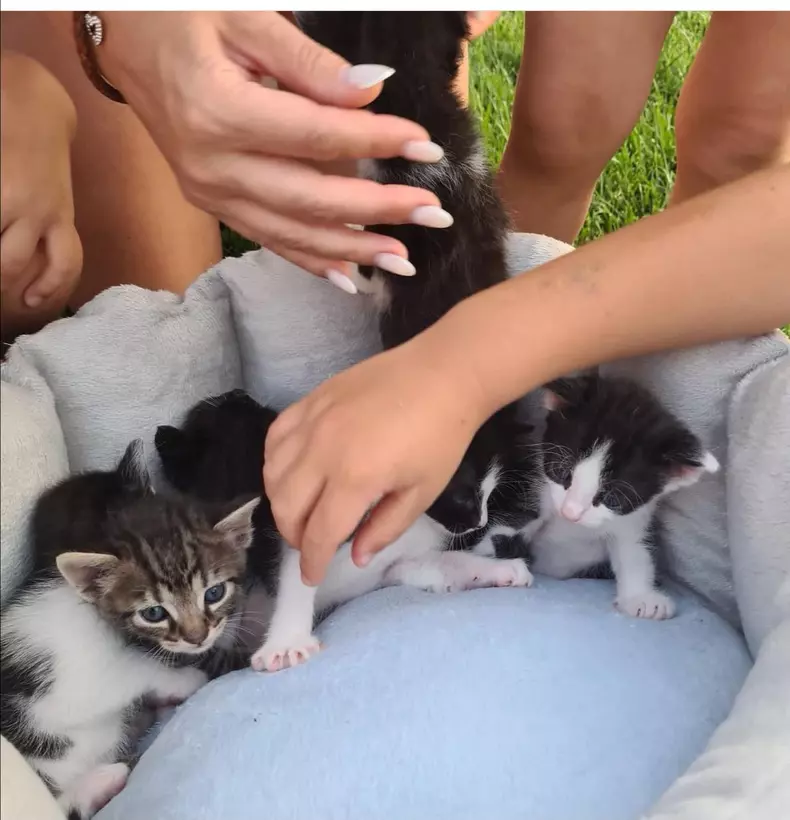 Copiii-Mirelei-Vaida-2