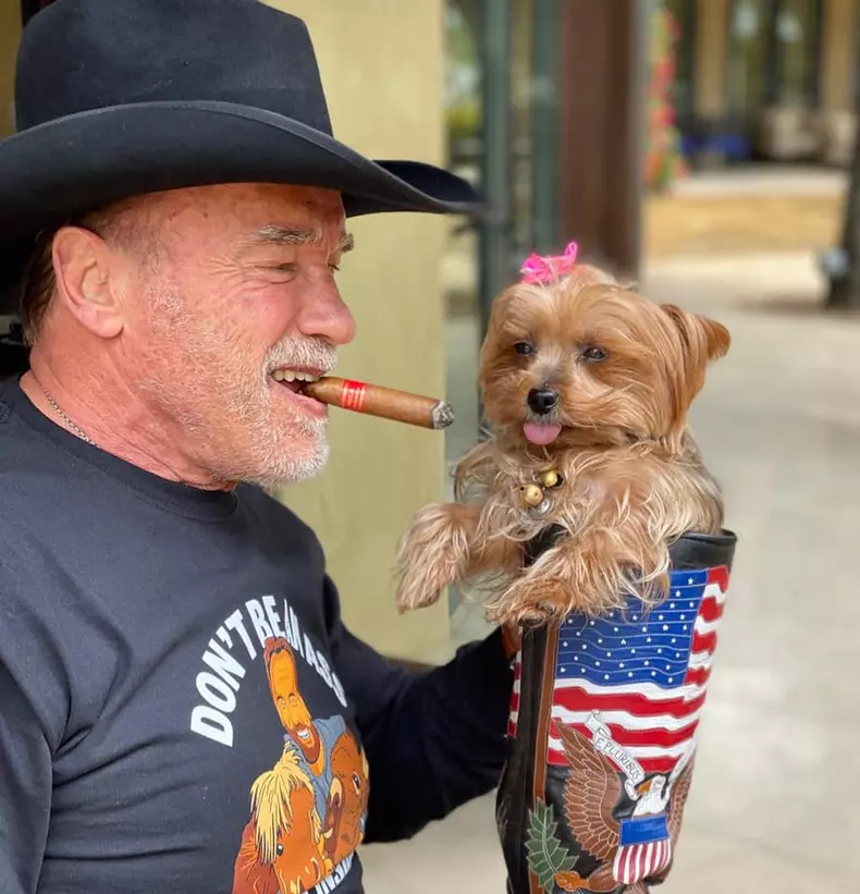 92547254_10158063696601760_4558886288945577984_n