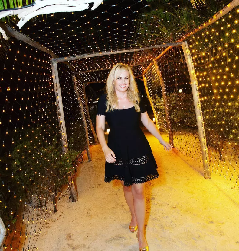 rebel-wilson-a-devenit-mama-