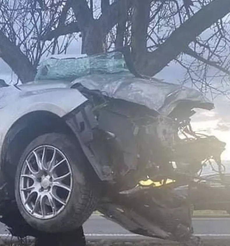 Acest accident trebuie predat la școlile de șoferi. Cum a ajuns mașina în copac