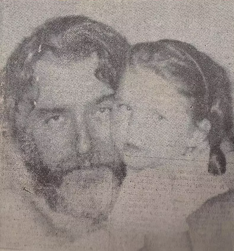 adrian-paunescu-cu-fiica