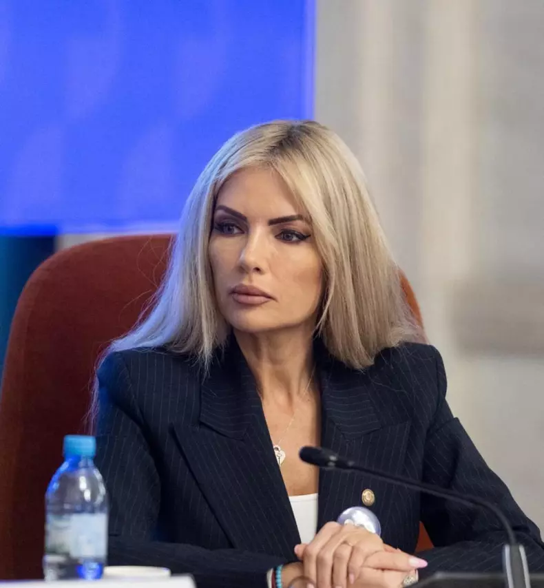laura-vicol-6