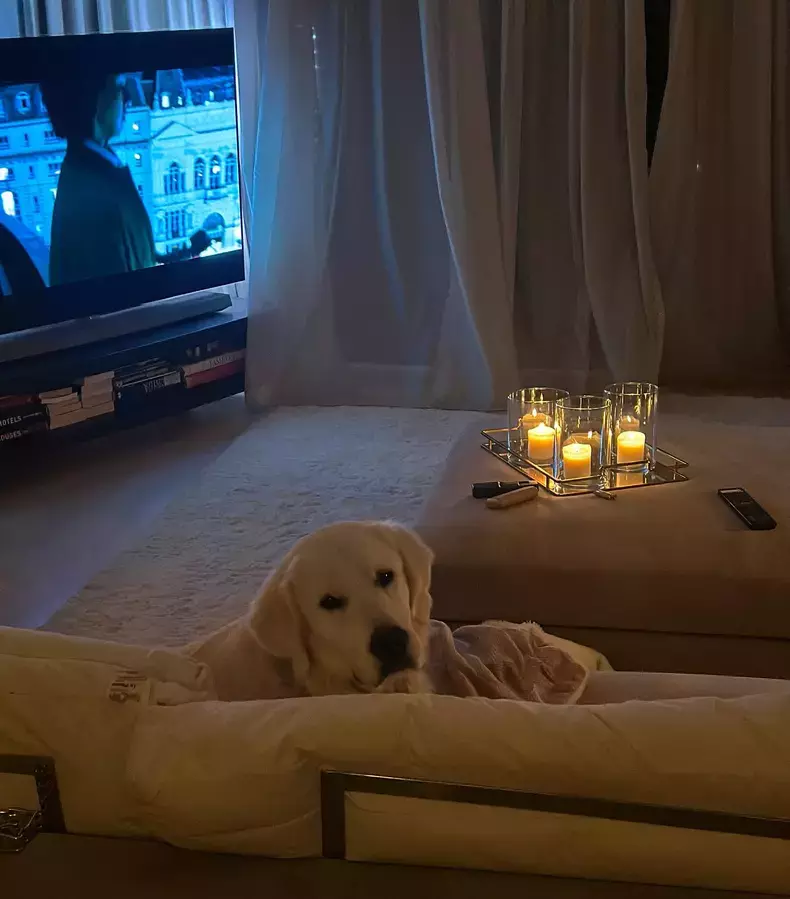 andreea-raicu-imagini-casa-2