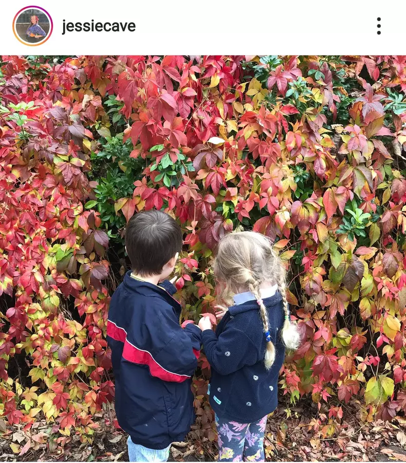 122277391_1740215752793596_1949285089993240990_n