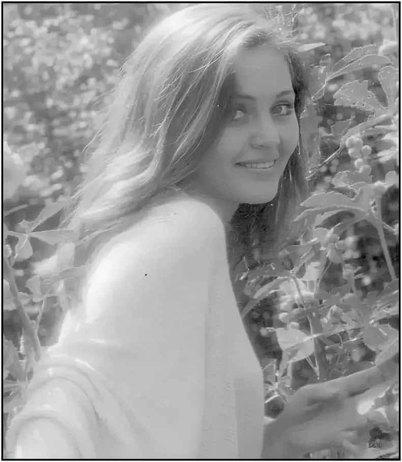 diana-lupescu-3