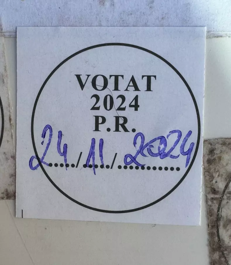 Andreea Esca vot 2024