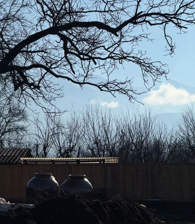 andreea-esca6î