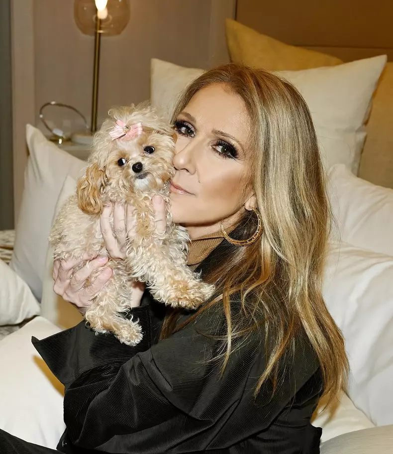 celine dion2