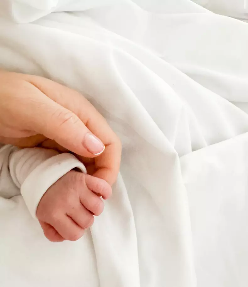 whatsapp-image-2024-07-29-at-10.01.15