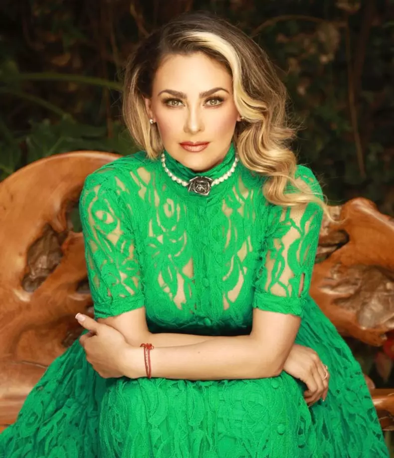 aracely-arambula-din-nou-in-razboi-cu-luis-miguel.-ce-ii-reproseaza-fostului-partener-3