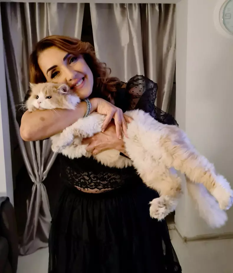 246728886_416797866477213_8454719473123346770_n