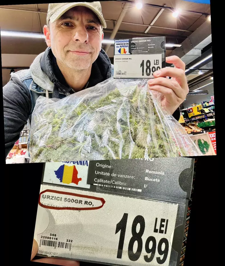 Dan Negru - preț urzici