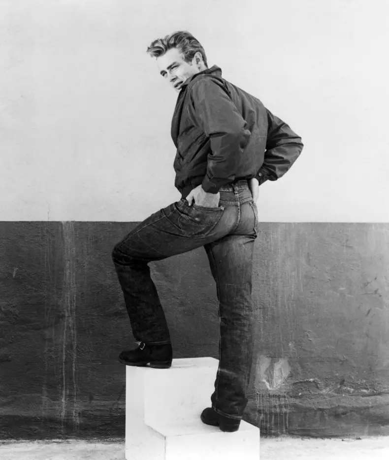 "Rebel Without A Cause" (1955)