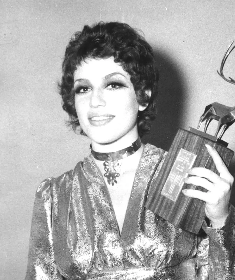 corina chiriac artista