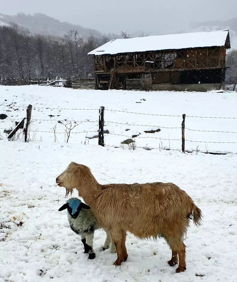 Echipa ROventura ajunge la Cerna, un loc de poveste și de povestit (11)