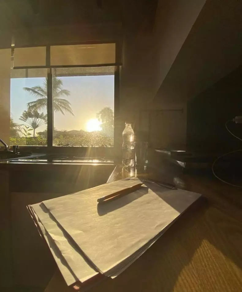 cum arata casa lui daniel pavel