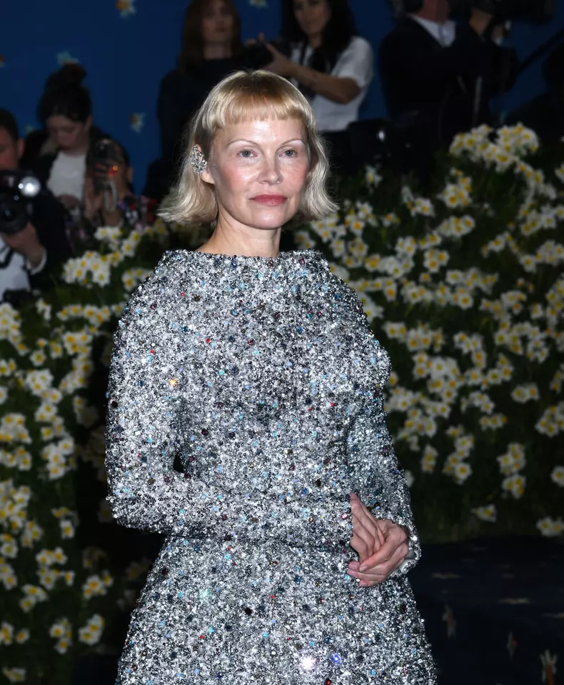 2025 Met Gala Celebrating Superfine: Tailoring Black Style