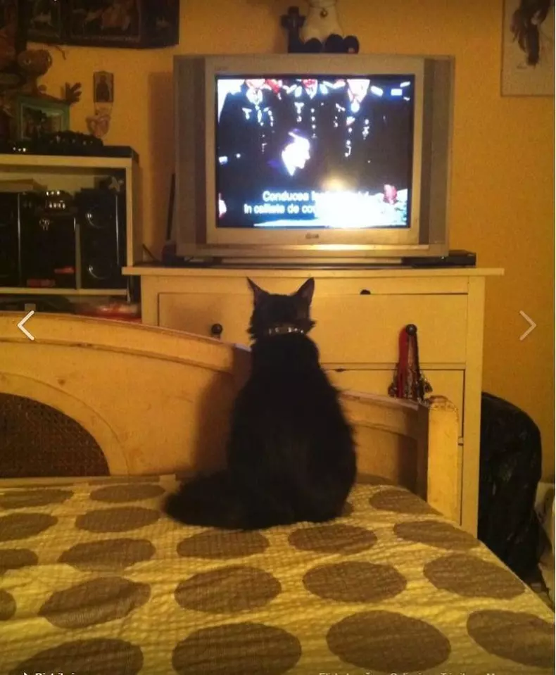 Casa lui Carmen Tanase