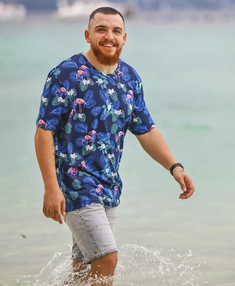 rey mesaj pentru lavinia