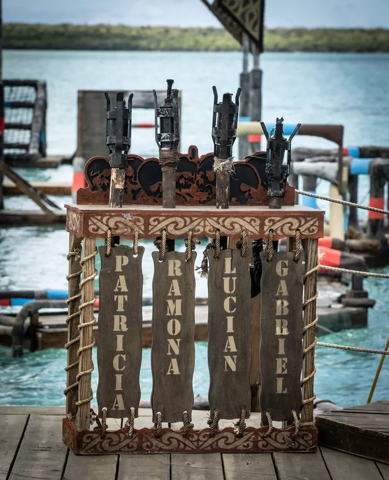 Marea finală Survivor (2)