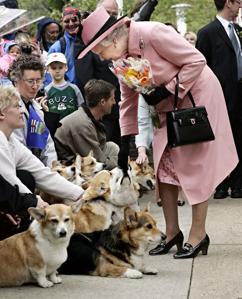Cine va moșteni iubiții corgi ai reginei Elisabeta a II-a. Cei doi câini rămân în familie