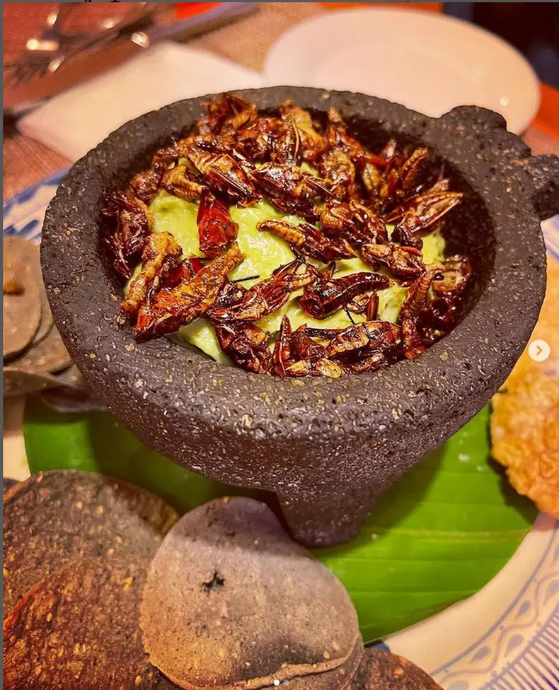 Irina-Fodor-America-Express